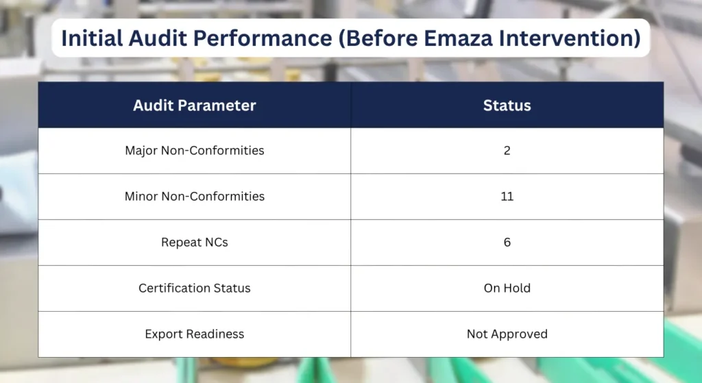 Reducing Audit Non-Conformities – A Real Transformation Delivered by Emaza Services Pvt. Ltd.