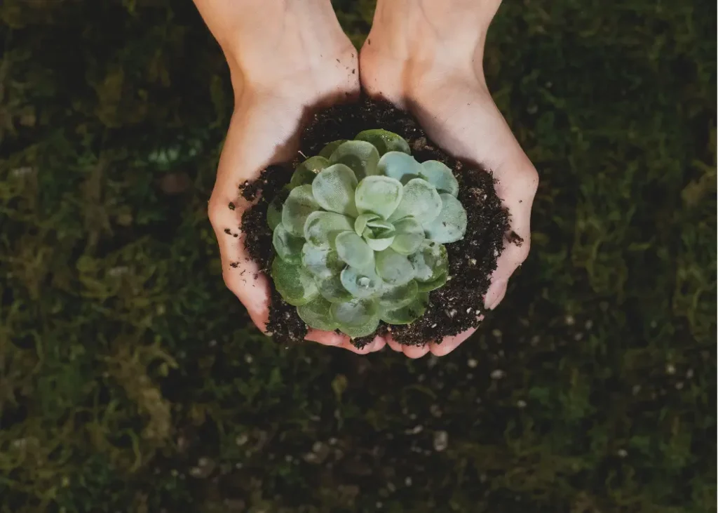 The Importance of Compliance and Sustainability in Today’s Business Landscape