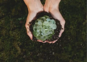 The Importance of Compliance and Sustainability in Today’s Business Landscape