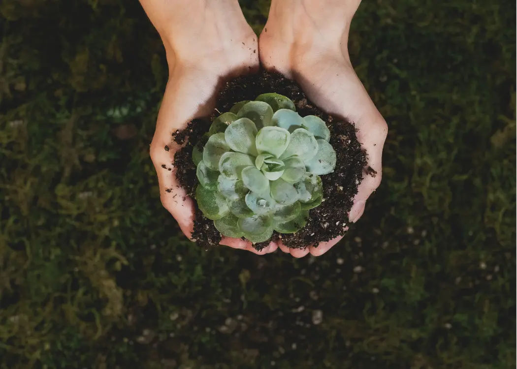 The Importance of Compliance and Sustainability in Today’s Business Landscape