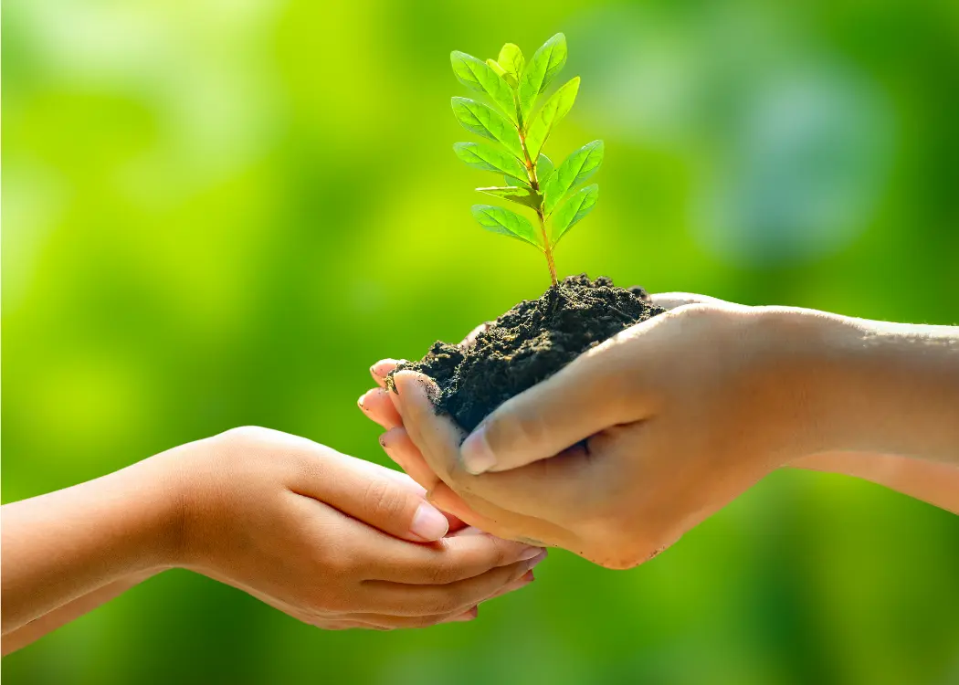Future of Sustainability